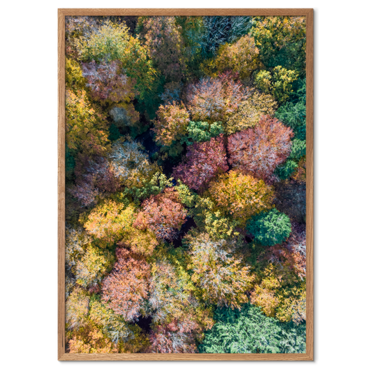 abstrakt plakat med farvestrålende trætoppe