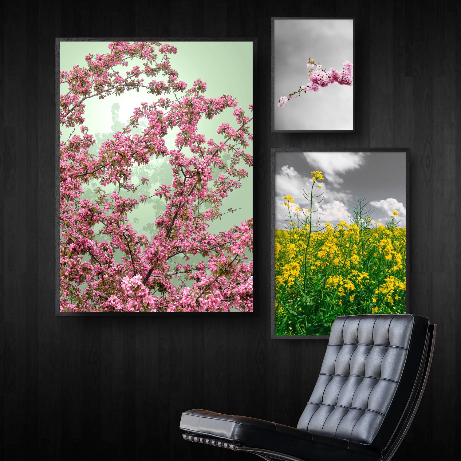 billedvæg med natur plakater med forårblomster