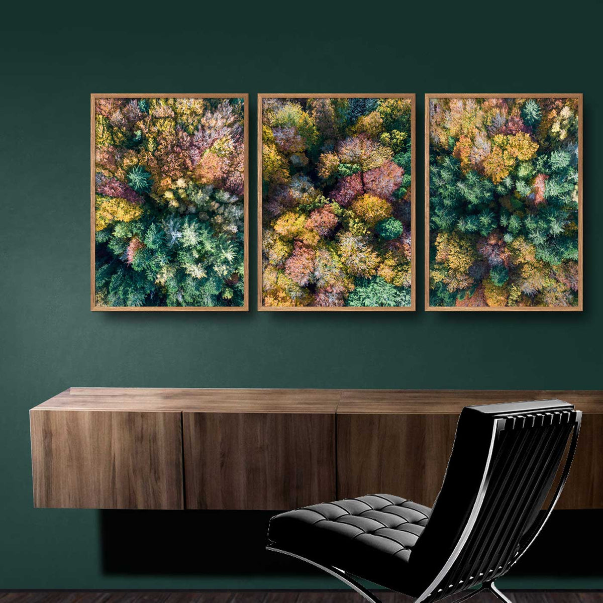 billedvæg med kulørte trætoppe set fra oven