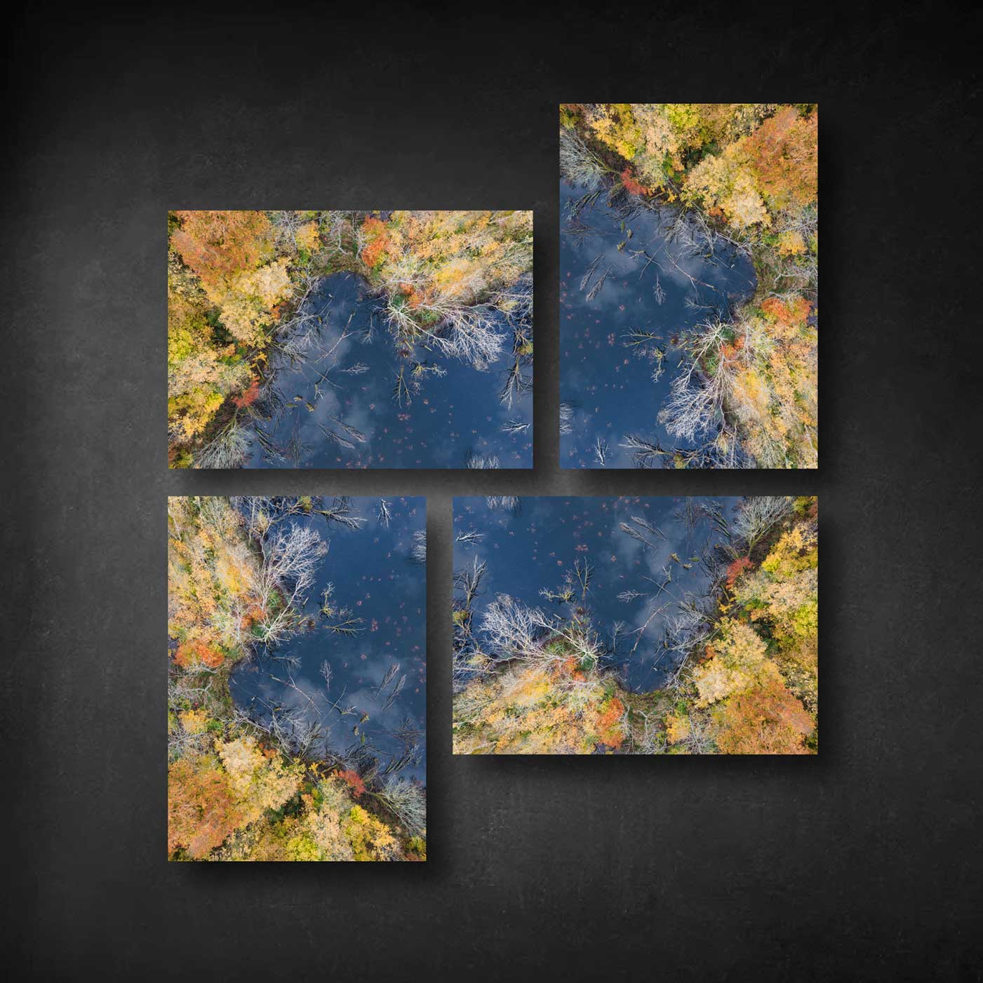 billedvæg med luftfotos af en søbred i blå og orange