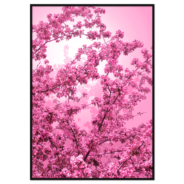 shocking pink blomsterbillede på plakat