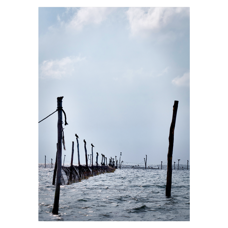 danmark plakat med bundgarnspæle ved kysten