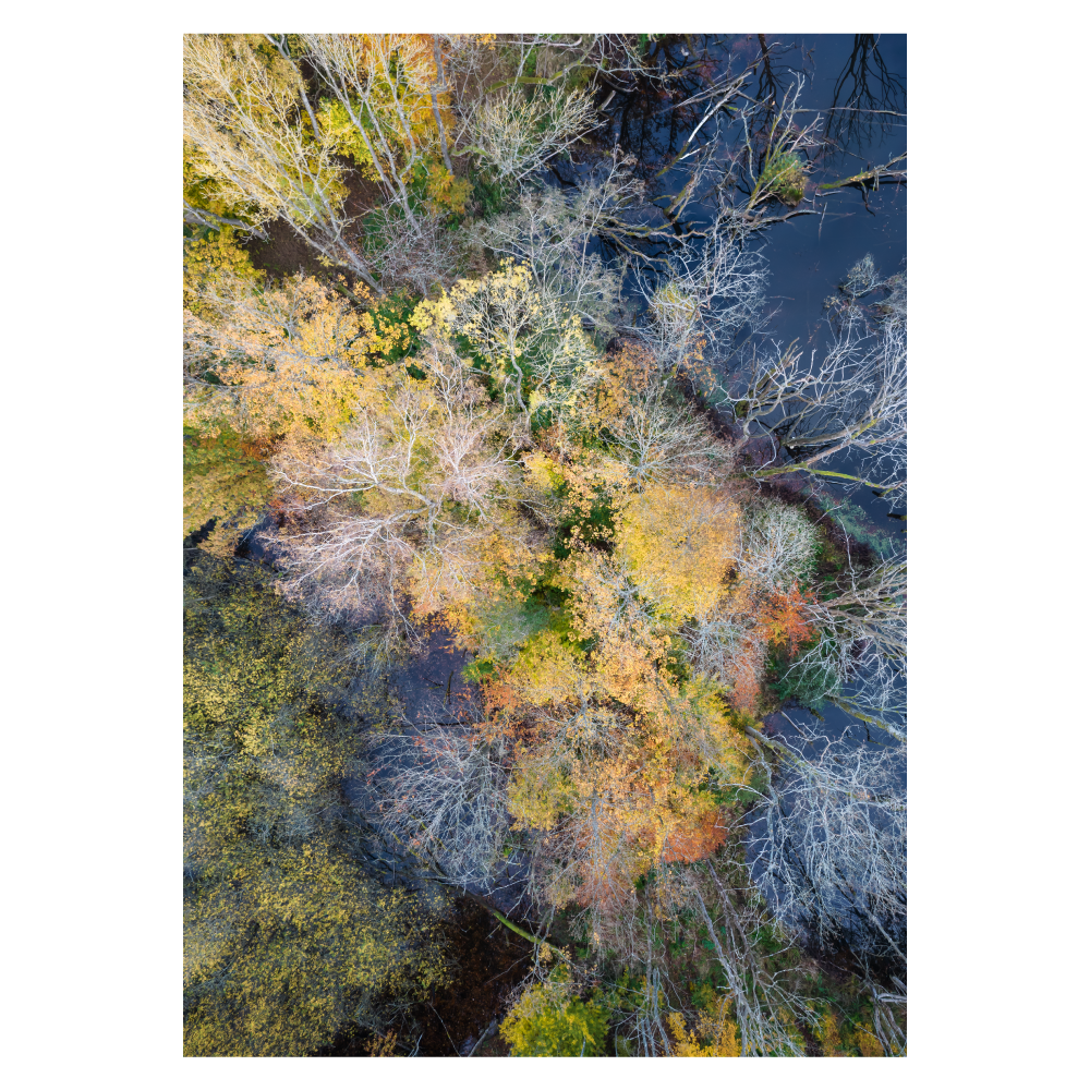 abstrakt dronefoto af søbred i flotte farver