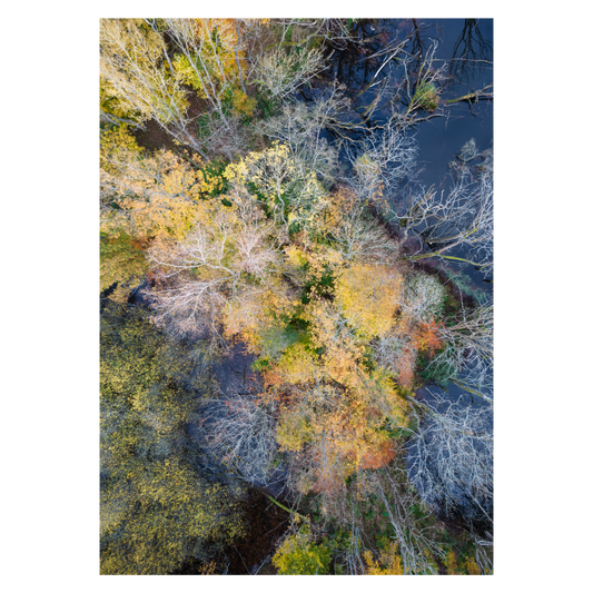 abstrakt dronefoto af søbred i flotte farver