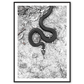 fotokunst plakat med en snoet slange i sort-hvid