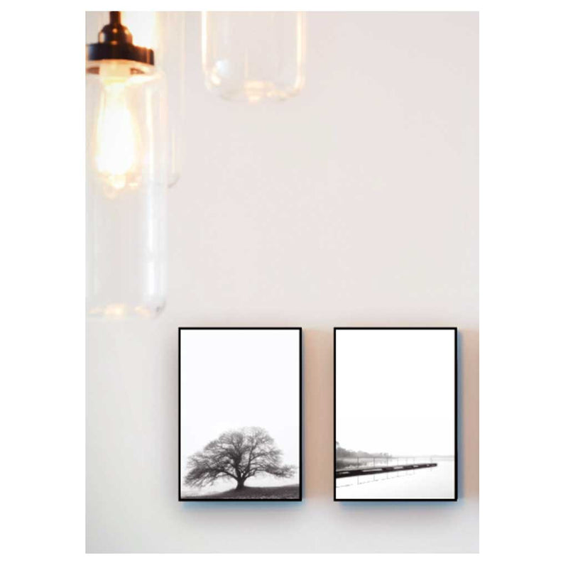 to sort hvide naturplakater på en væg