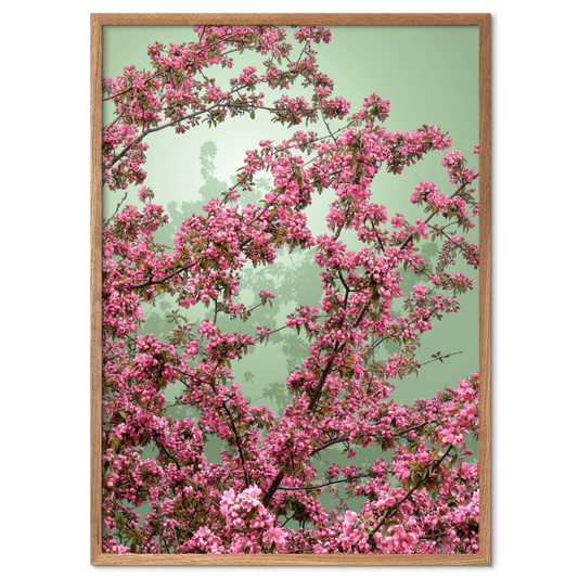 japansk inspireret blomsterplakat med lyserøde blomster