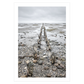 Fotokunst Danmarksplakat med lavvande ved Vadehavet