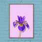 blomsterplakat med en lilla iris der hænger på blå-grøn væg