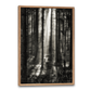 fotokunst plakat med sollys i mellem træerne i en mørk skov