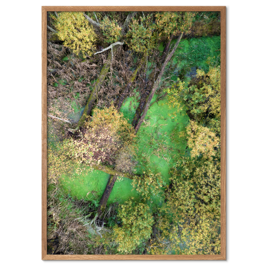 fotokunst plakat med en lille grøn skovsø