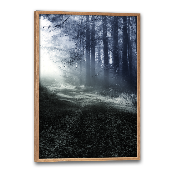 fotokunst plakat med et skov naturmotiv i grøn-blå nuancer