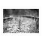sort-hvid fotokunst plakat med togskinner der forsvinder i det fjerne
