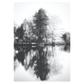 sort-hvid fotokunst plakat med træ spejlinger i en sø