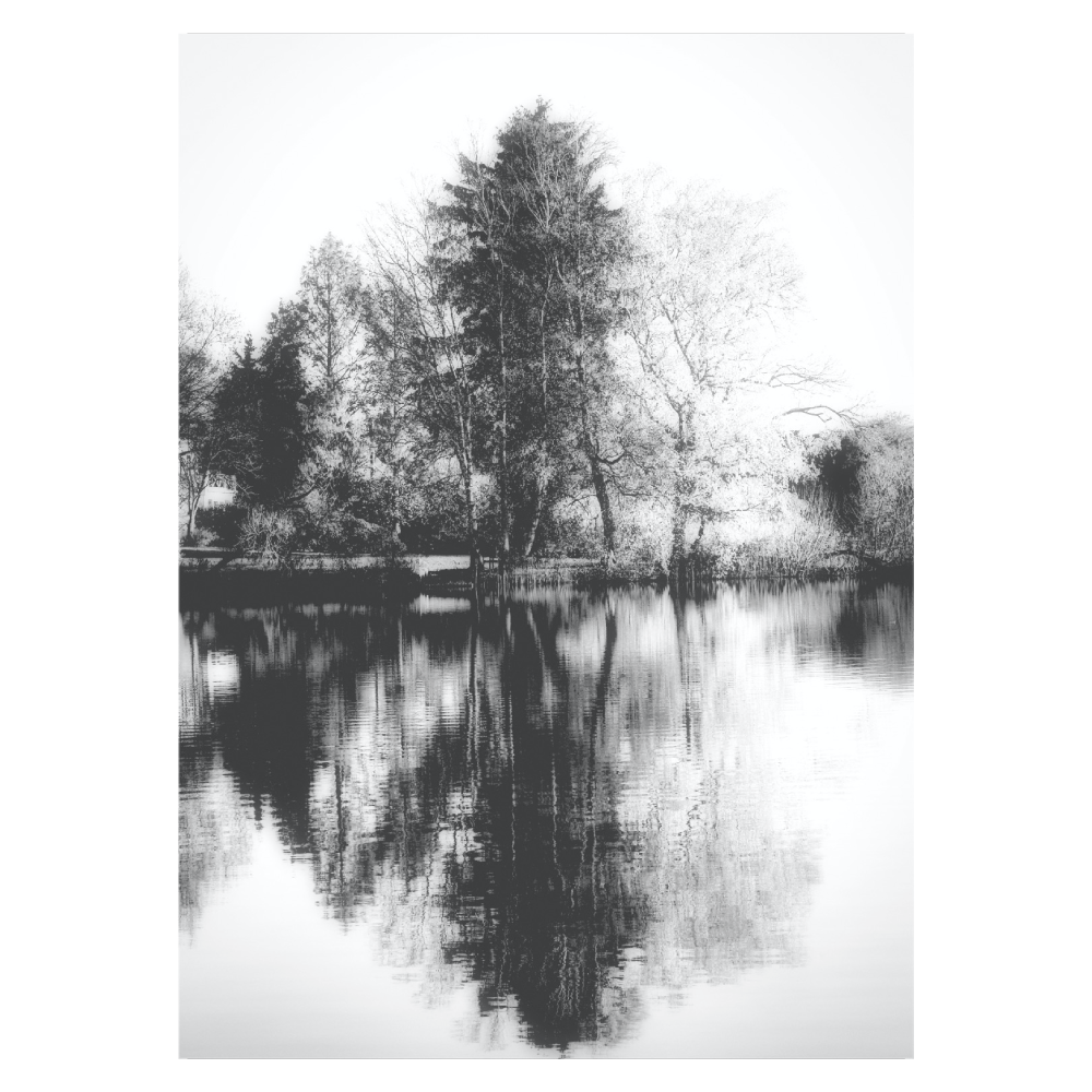 sort-hvid fotokunst plakat med træ spejlinger i en sø