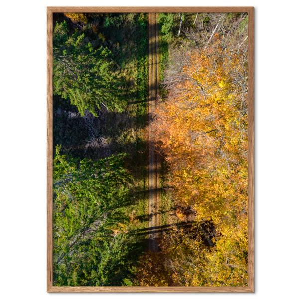 fotokunst plakat med en skovsti under orange blade