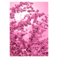 blomsterplakat med lyserøde blomster på pink baggrund