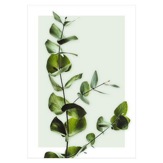 Grafisk plakat med en kvist med grønne blade
