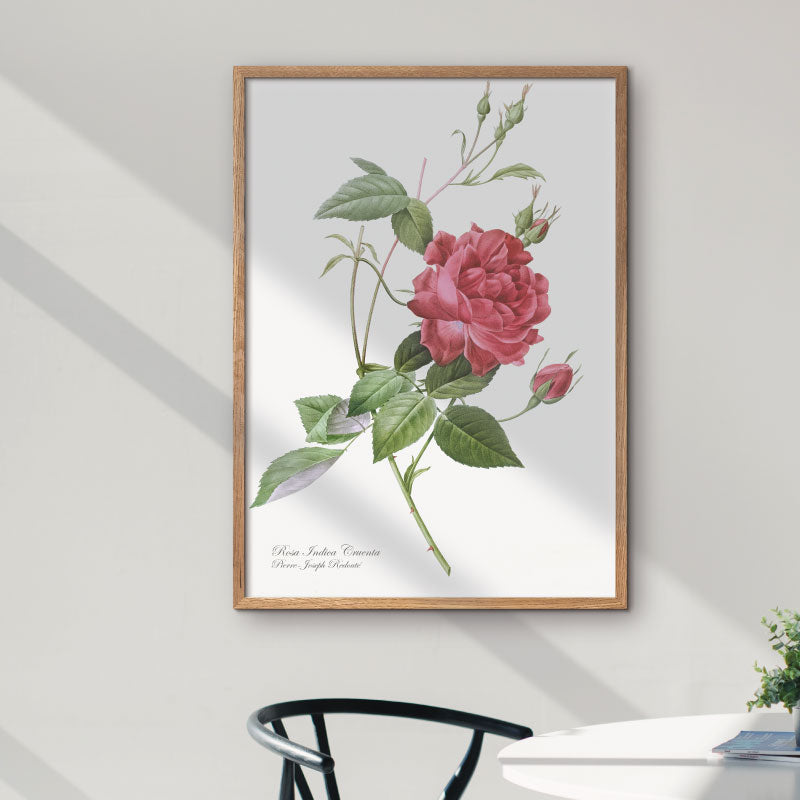 Graphic flower poster with a red rose