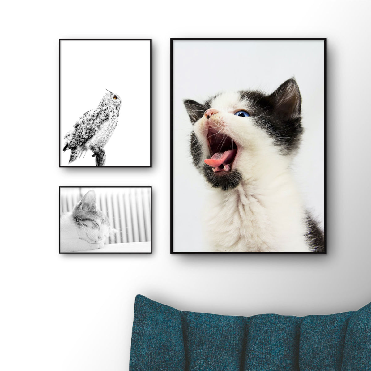 3 dyreplakater med to killinger og en ugle