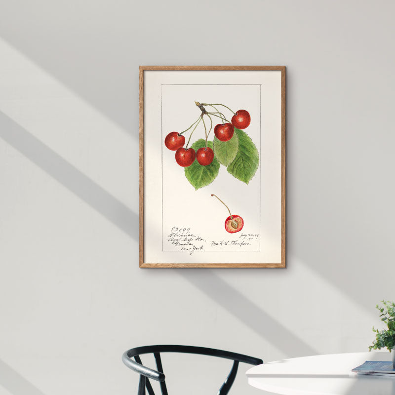 Grafisk plakat med håndtegnede kirsebær