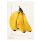 Køkkenplakat med håndtegnede bananer