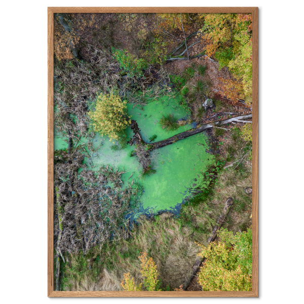 luftfoto plakat med en grøn sø set fra oven