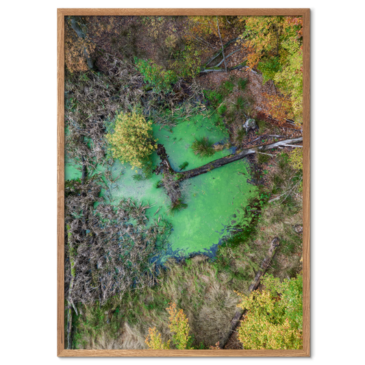 luftfoto plakat med en grøn sø set fra oven