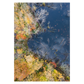 søbred i efterårsfarver set fra luften