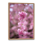 lyserød blomsterplakat med kirsebærblomster