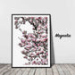 Magnolia
