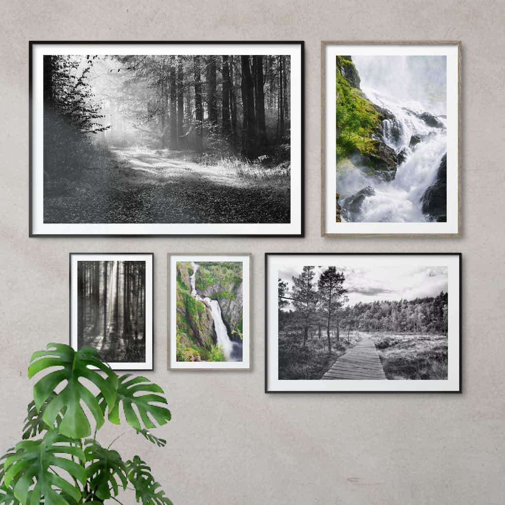 billedvæg med naturplakater i sort-hvid og grønne nuancer