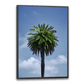 palme plakat med en enkelt palme mod en blå himmel