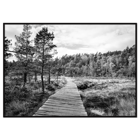 naturplakat med norsk landskab i sort-hvid