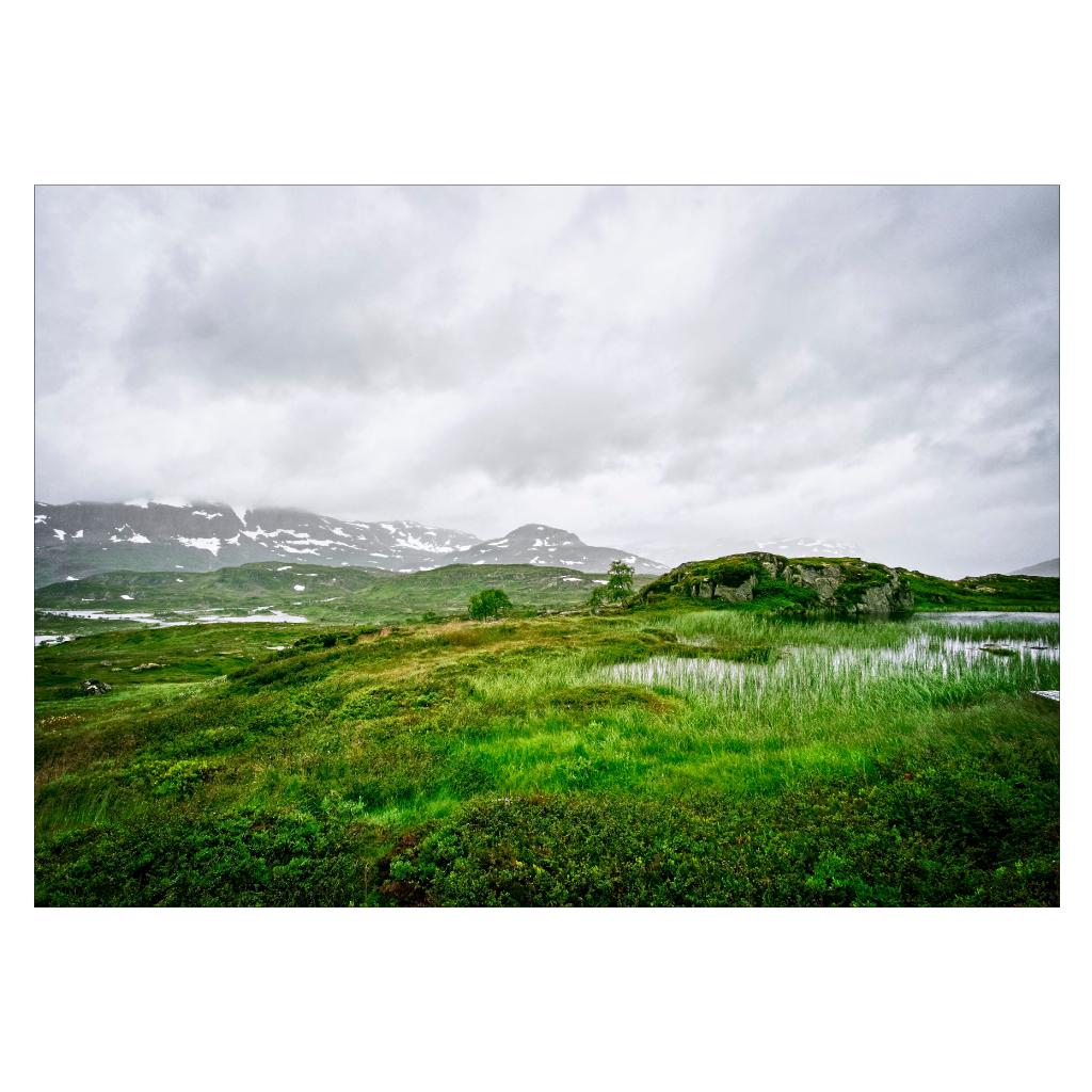 naturplakat med norsk telemark landskab i groenne nuancer