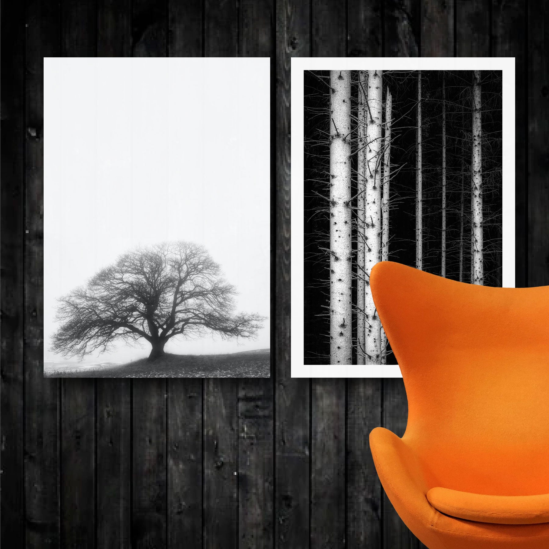to naturplakater med træmotiver i sort-hvid