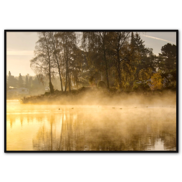 naturplakat med Birkerød sø en kold og diset vintermorgen