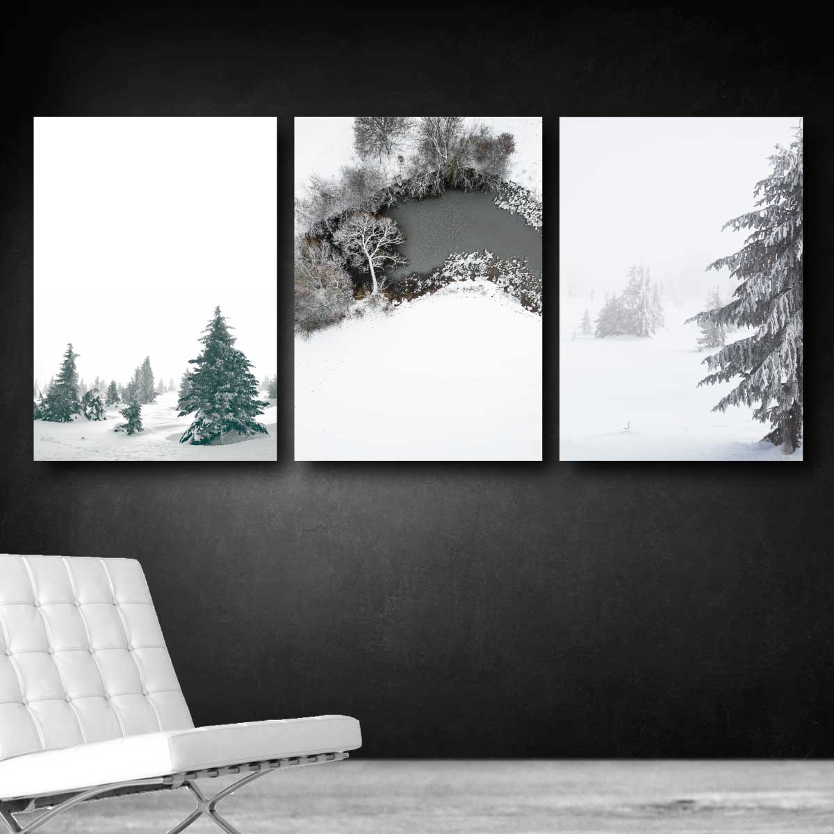 plakatvæg med billeder af hvide snelandskaber