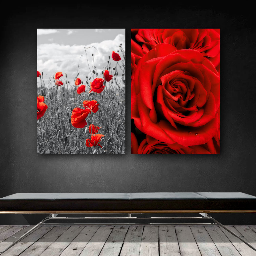2 røde blomster plakater med valmuer og roser