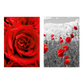 røde blomsterplakater med roser og valmuer