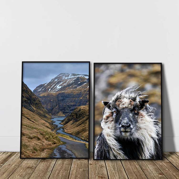 to færøerne plakater med naturen ved saksun og et får
