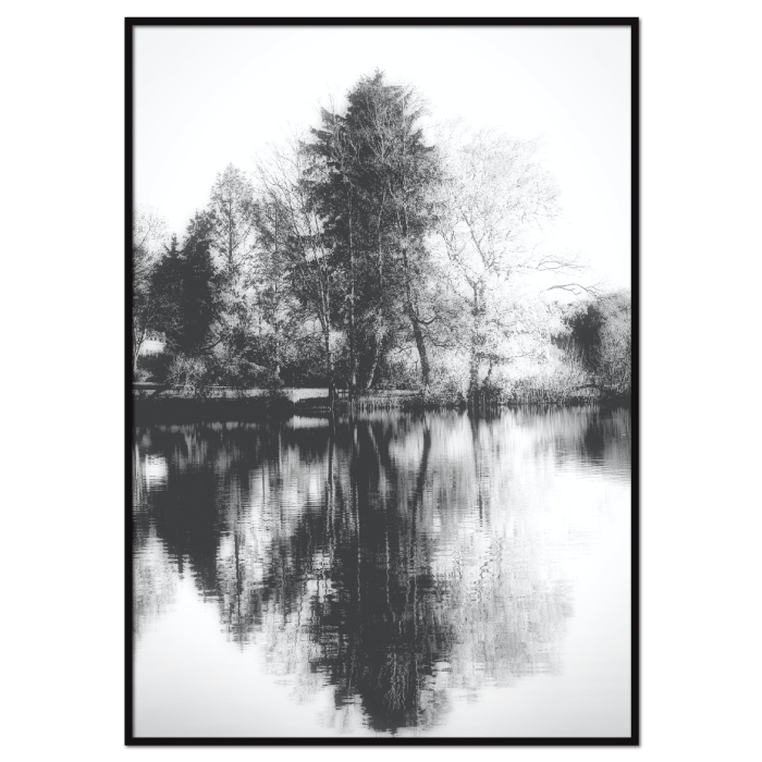 sort-hvid natur plakat med træer der spejler sig i en sø