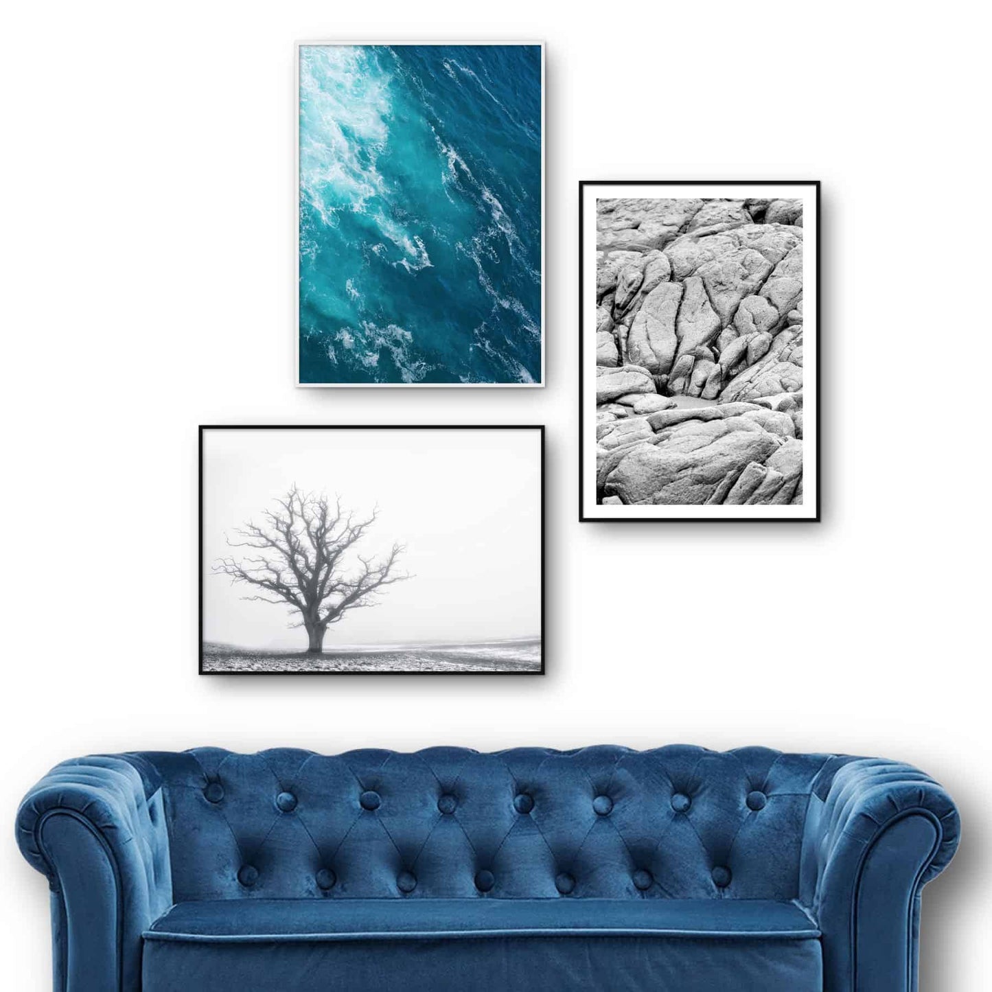 billedvæg med tre naturplakater i sort-hvid og blå farver