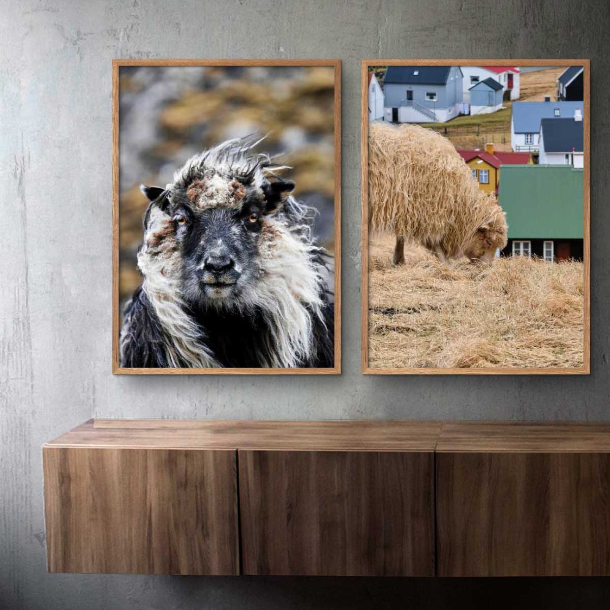 To Færøplakater med billeder af får