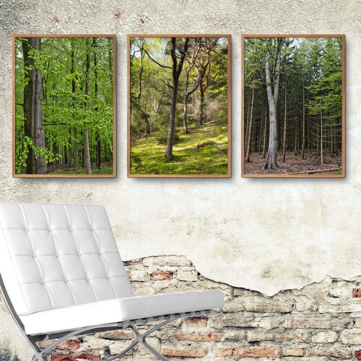 tre plakater med skovmotiver på billedvæg