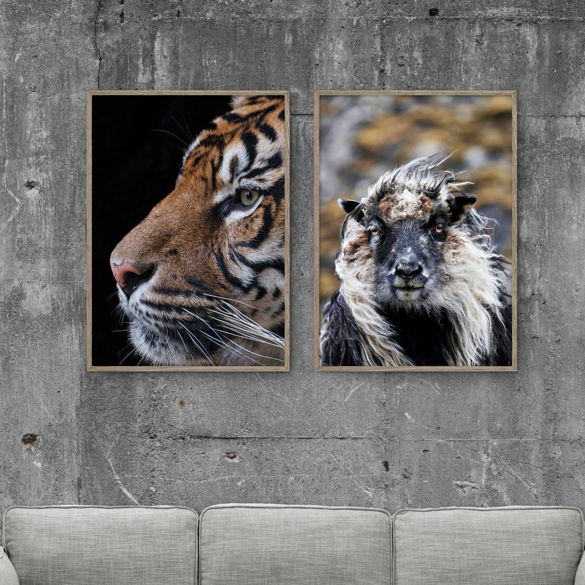 to dyreplakater på en væg en tiger plakat og portræt af et får