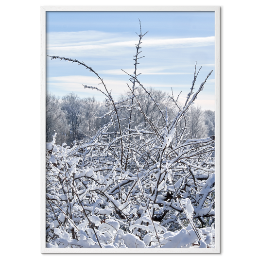 Vinterbillede af et snedækket landskab