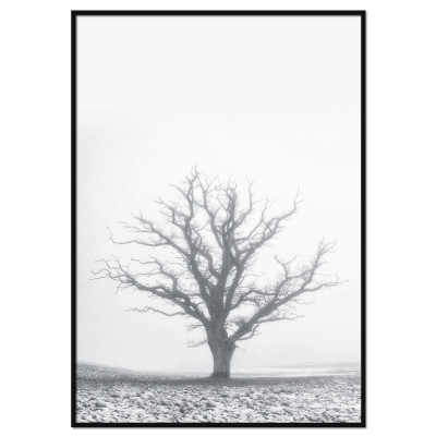 Vintertræ